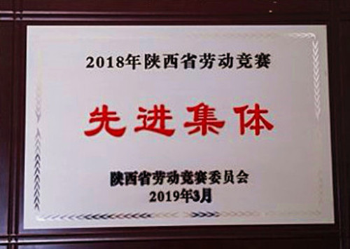 2018年陜西省勞動競賽先進集體